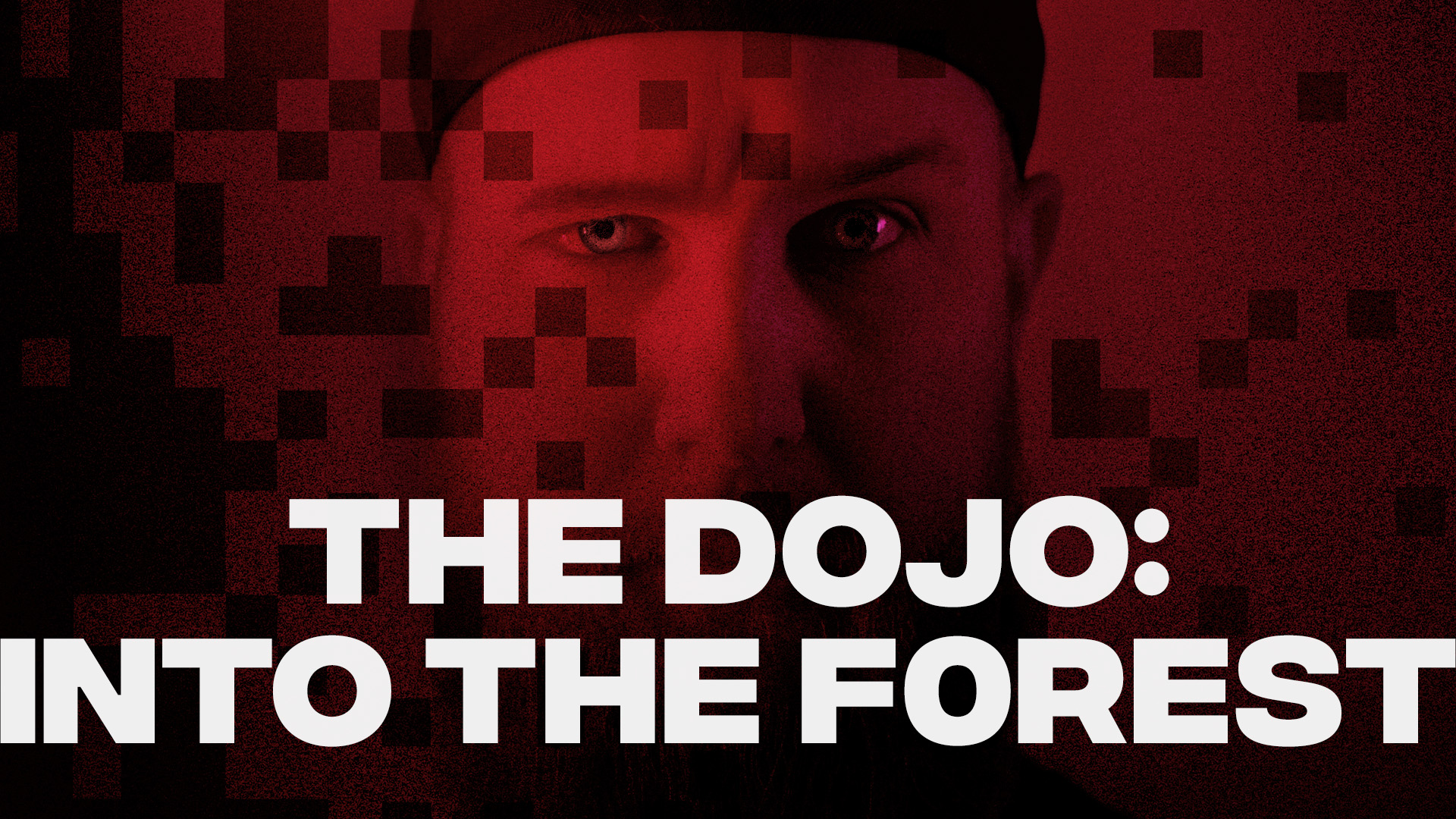 Into the f0rest 🌲